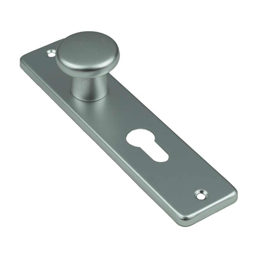 AMI Knop 160/40 Vast Kortschild 180/41 RH Profielcilinder 55 F1 - 318814